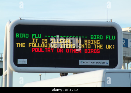 Influenza aviaria Avviso consultivo per i viaggiatori Dover Kent England Regno Unito Regno Unito Foto Stock