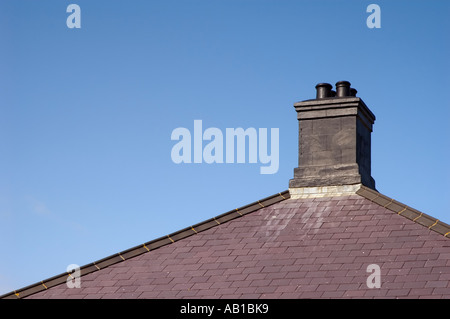 Nero / Grigio / tetto di ardesia grigia prese vicino a Nash Point Lighthouse South Wales UK Foto Stock