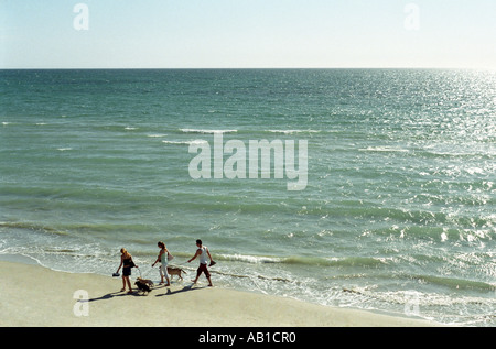 Due giovani donne e un giovane uomo che cammina cani sulla spiaggia Foto Stock