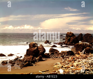 Dirftwood cucciolate una spiaggia rocciosa lungo il robusto Oregon meridionale costiera Foto Stock