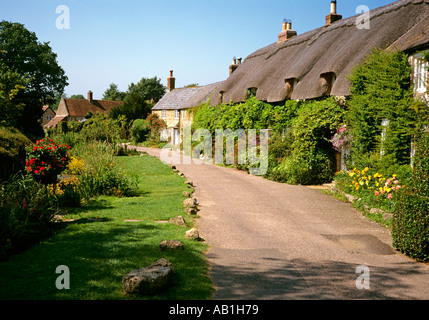 Isola di Wight Calbourne Winkle Street Foto Stock