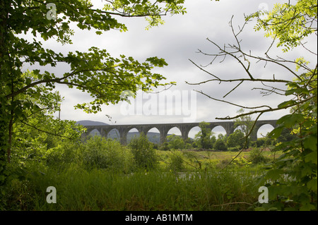 Guardando attraverso una siepe verso il Viadotto Craigmore vicino a Newry Foto Stock