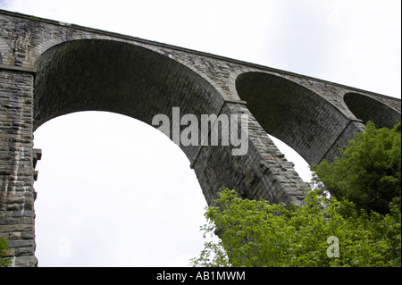 Guardando verso l'alto da sotto a gli archi del viadotto Craigmore vicino a Newry Foto Stock