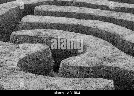 Maze Abstract Longleat Wiltshire Regno Unito Foto Stock