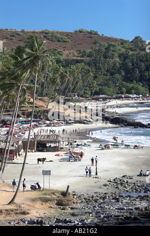 Da palme Little Vagator e Ozran spiagge di Goa in India Foto Stock