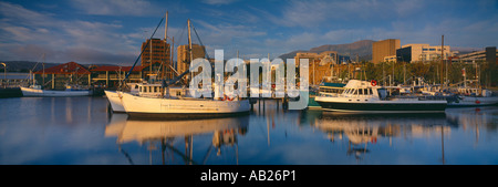 Barche da pesca ormeggiate in Victoria dock all'alba Hobart Tasmania Australia Foto Stock