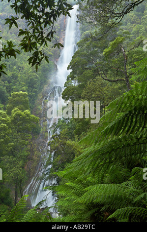 Montezuma cade una foresta pluviale temperata cascata nr Rosebery regione occidentale della Tasmania Australia Foto Stock