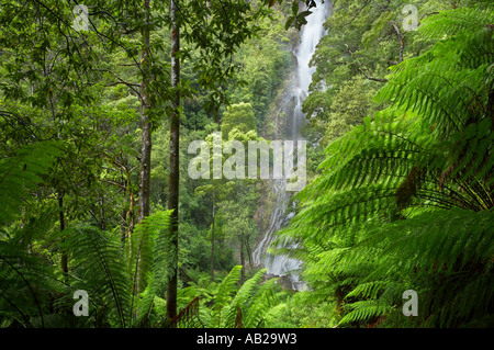 Montezuma cade una foresta pluviale temperata cascata nr Rosebery regione occidentale della Tasmania Australia Foto Stock