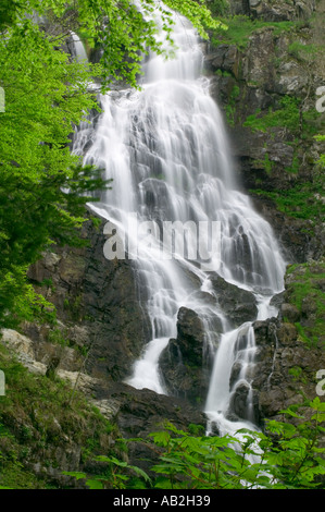 Wasserfall Todtnau Baden Wurttemberg Schwarzwald Foresta Nera in Germania Foto Stock