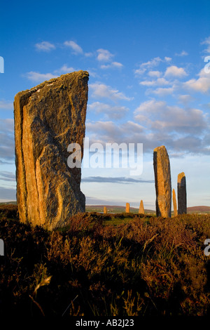dh Neolitico in piedi pietre ANELLO DI BRODGAR ORKNEY SCOZIA Henge sito del cerchio di pietra scozia patrimonio mondiale dell'unesco siti età del bronzo regno unito Foto Stock