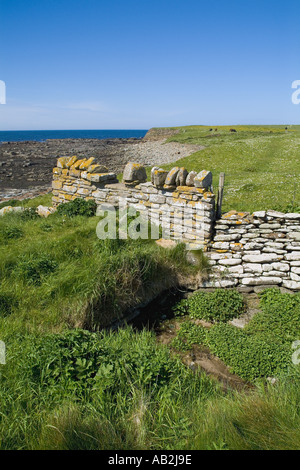 Dh baia di Skaill SANDWICK ORKNEY muro di pietra a stile e il sentiero sopra la spiaggia rocciosa Foto Stock