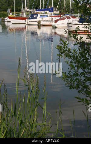 Imbarcazioni da diporto ormeggiati a Marina Kinnego, Lough Neagh, Craigavon, nella contea di Armagh, Irlanda del Nord Foto Stock