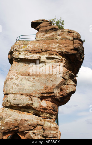 Burg Drachenfels castello vicino Busenberg Palatinato Dahn Germania Giugno 2007 Foto Stock