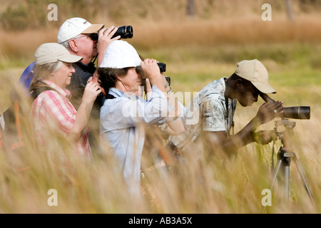 Guida esamina per diverse specie di mostrare la visita di bird-watching prateria velme vicino Tendaba Camp sul fiume Gambia Gambia Foto Stock