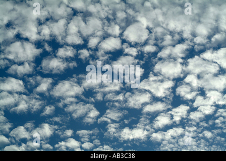 Bella Altocumulus Cloud formazione su Alsager nel Cheshire England Regno Unito Regno Unito Foto Stock