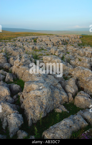 Pavimentazione di pietra calcarea - North Yorkshire Moors Foto Stock