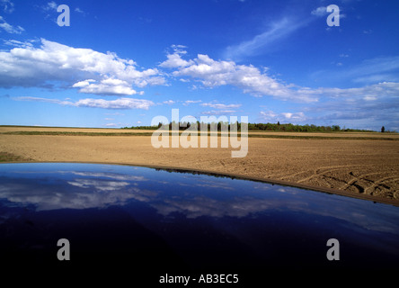 Campo di patate e il cielo si riflette nel tetto della cura blu in New Brunswick Canada Foto Stock