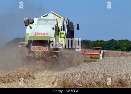 Campo di orzo e di mietitrebbia in Inghilterra Hampshire REGNO UNITO Foto Stock