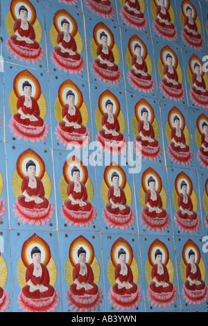 Figure di buddha sulla parete piastrelle all'interno della pagoda di diecimila buddha al Tempio di Kek Lok Si Foto Stock