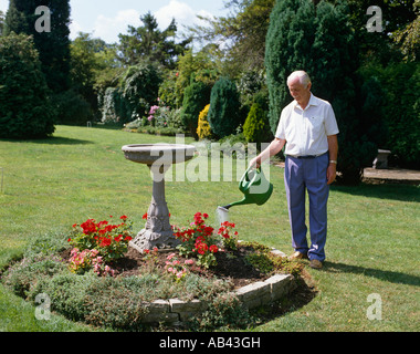 Senior uomo giardino di irrigazione Foto Stock