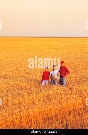 Agricoltura - una famiglia contadina pone a loro matura campo di grano prima del raccolto / Manitoba, Canada. Foto Stock