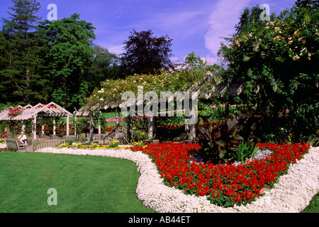 Fioriture dei fiori in un giardino nel Parco di Stanley Vancouver British Columbia Canada Foto Stock