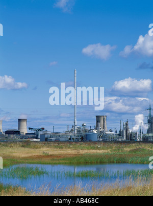 Complesso chimico visto su una palude; Billingham, Teesside, Cleveland, Inghilterra, Regno Unito. Foto Stock