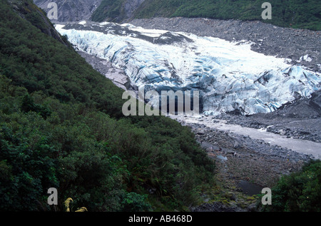 Fox Glacier Isola del Sud della Nuova Zelanda Foto Stock