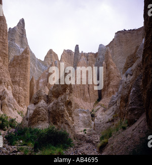 Argilla Paritea scogliere vicino a Omarama Waitaki Valley North Otago Isola del Sud della Nuova Zelanda Foto Stock