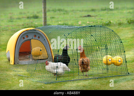 Il OMLET EGLU CHICKEN House Regno Unito 2007 Foto Stock