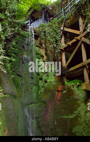 Shanklin Chine, Shanklin, Isle of Wight, England, Regno Unito, GB. Foto Stock