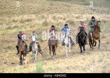 Gauchos al galoppo in una linea attraverso la pampa erba sui loro cavalli avendo divertimento. Foto Stock