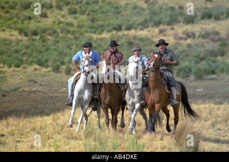 Gauchos al galoppo in una linea attraverso la pampa erba sui loro cavalli avendo divertimento. Foto Stock