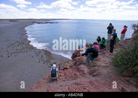 I turisti la visualizzazione del Magellan colonia di pinguini e scattare fotografie da un punto di vista vantaggioso. Foto Stock