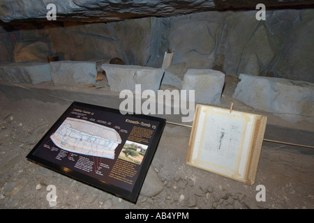 L'Irlanda County Meath Boyne Valley Bru na Boinne Visitor Center replica di Knowth tomba scavo Foto Stock