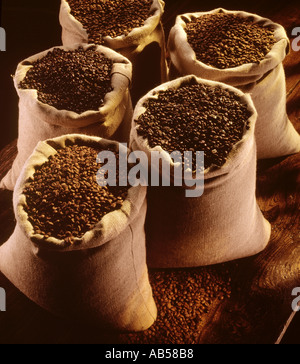 CHICCHI DI CAFFÈ Foto Stock