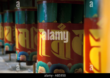 India Himachal Pradesh Dharamsala McLeod Ganj ruote della preghiera al di fuori chorten Foto Stock
