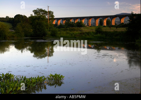 Piccolo stagno in un campo di fronte al viadotto Craigmore la sera vicino a Newry Foto Stock