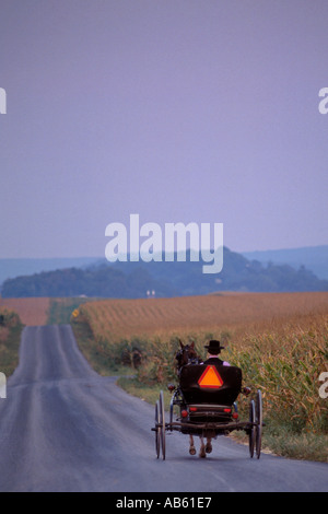 Amish l uomo a cavallo e buggy sul lungo rettilineo di farm road in Lancaster County Pennsylvania Foto Stock