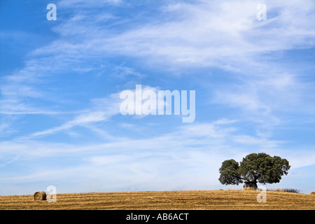 Dolmen in un tipico paesaggio mediterraneo dal Alentejo (Portogallo), molto simile alla Toscana (Italia). Foto Stock