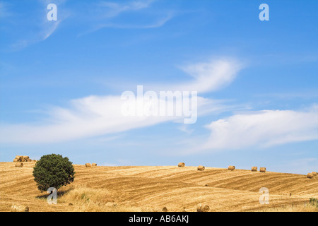 Tipico paesaggio mediterraneo dal Alentejo (Portogallo), molto simile alla Toscana (Italia). Foto Stock