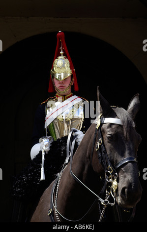 Soldato britannico del Blues e del reggimento di Royals montato a cavallo Foto Stock