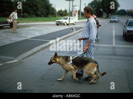 Cieco di piombo dal suo cane guida di attraversare una via Foto Stock