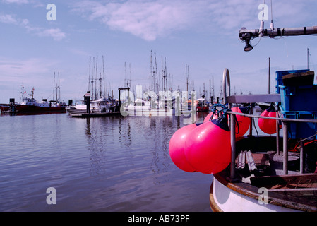 Commerciale di pesca barche ormeggiate in porto in barca sul fiume Fraser, Steveston, BC, British Columbia, Canada Foto Stock