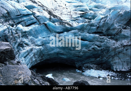 Fox Glacier, Nuova Zelanda Foto Stock