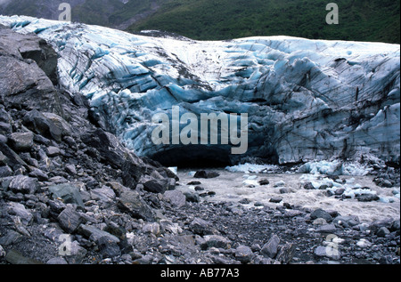 Fox Glacier, Nuova Zelanda Foto Stock