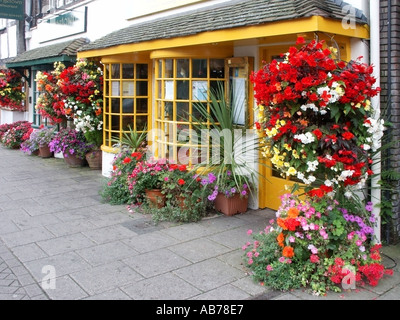 Stratford upon Avon colorata estate floreali display sul marciapiede di estate biancheria da letto annuale di piante in piena fioritura fuori del ristorante Foto Stock