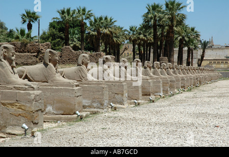 Viale di Sfingi dalla testa d'ariete Luxor Egitto 1 Foto Stock