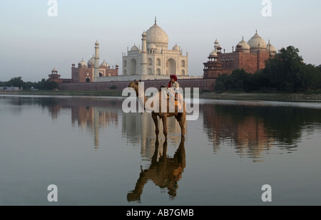 Ragazzo su un cammello di fronte al Taj Mahal in Agra India Foto Stock