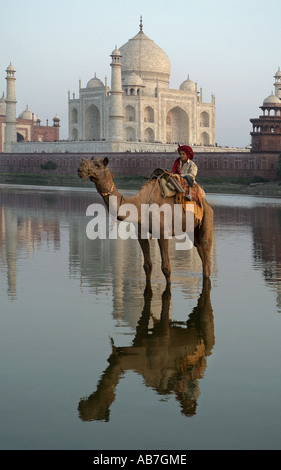 Ragazzo su un cammello di fronte al Taj Mahal in Agra India Foto Stock
